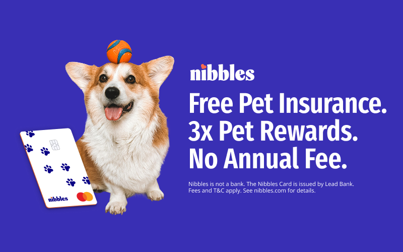 The first pet rewards credit card with free pet insurance, meet Nibbles