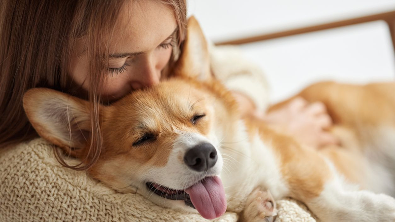 The rewards credit card made just for pet parents