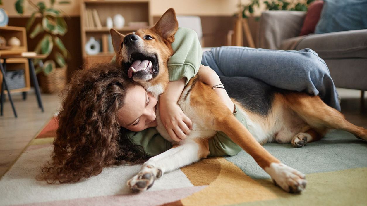 Are you a pet owner? Save money and reward your pet